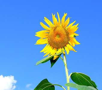 GGPoker��(�й���½)Ψһ�ٷ���վ