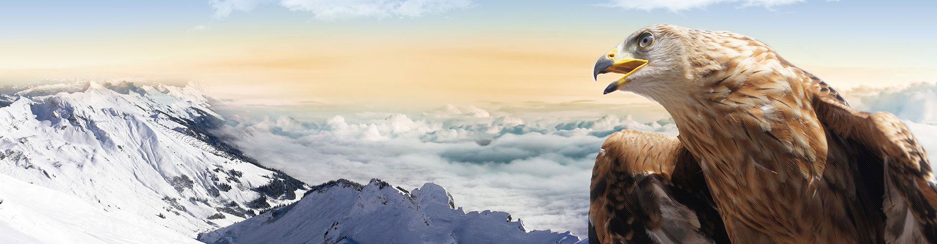 GGPoker��(�й���½)Ψһ�ٷ���վ